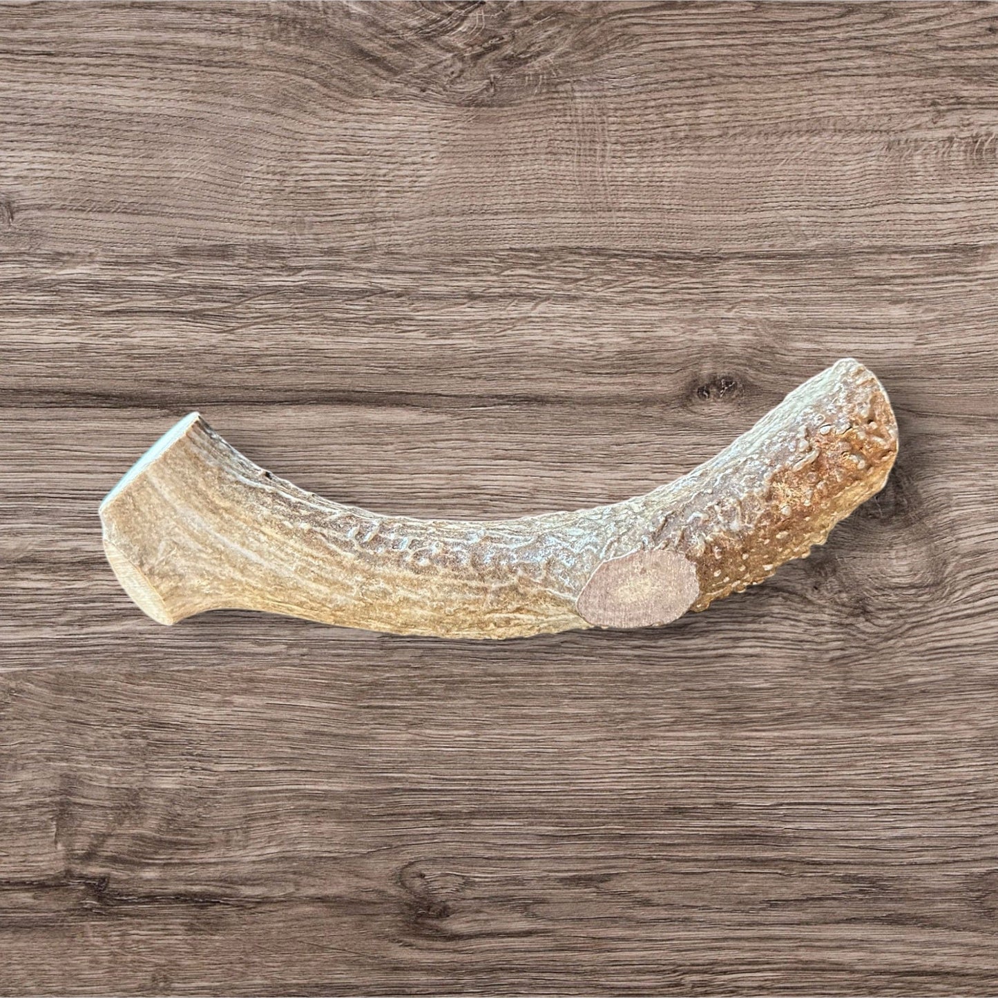 Buffalo Freeze Dry Large Antler Chews - Whitetail Deer Antler