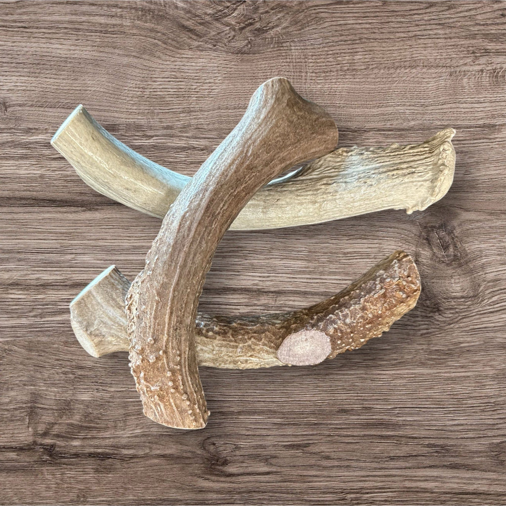 Buffalo Freeze Dry antler chews made from whitetail deer antlers, showcasing a natural, rugged texture.