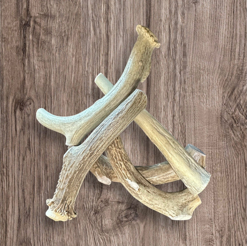 Buffalo Freeze Dry Whitetail Deer Antler chews, showcasing a natural and sturdy antler chew for dogs.
