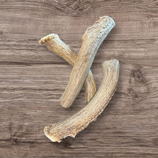 Buffalo Freeze Dry Antler Chews - Whitetail Deer Antler