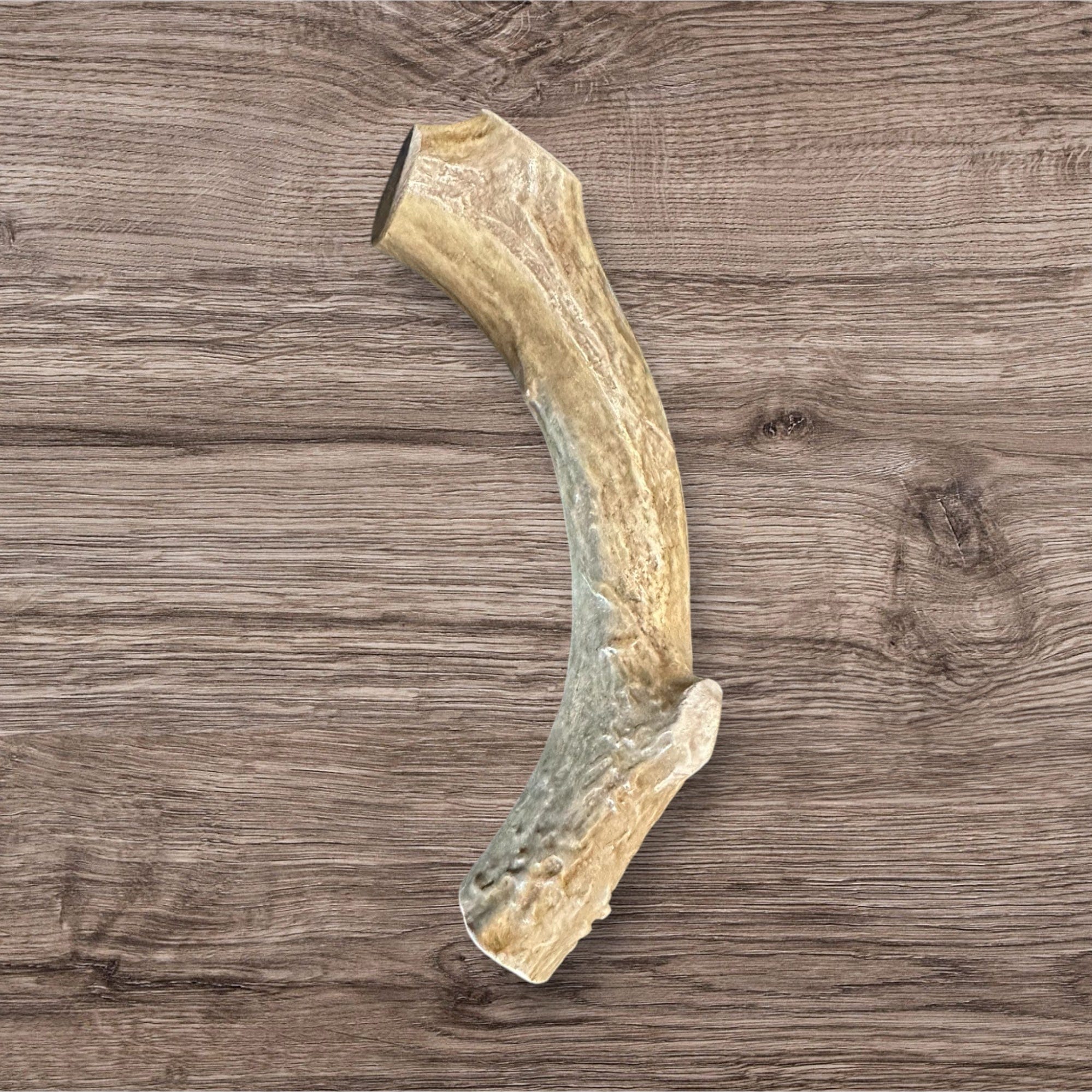 Buffalo Freeze Dry extra-large whitetail deer antler chews for dogs, showing a natural, rugged texture and shape.