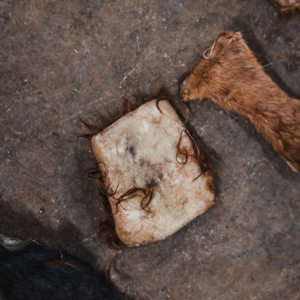 Ugly Chews Scraps,Chips, & Chunks