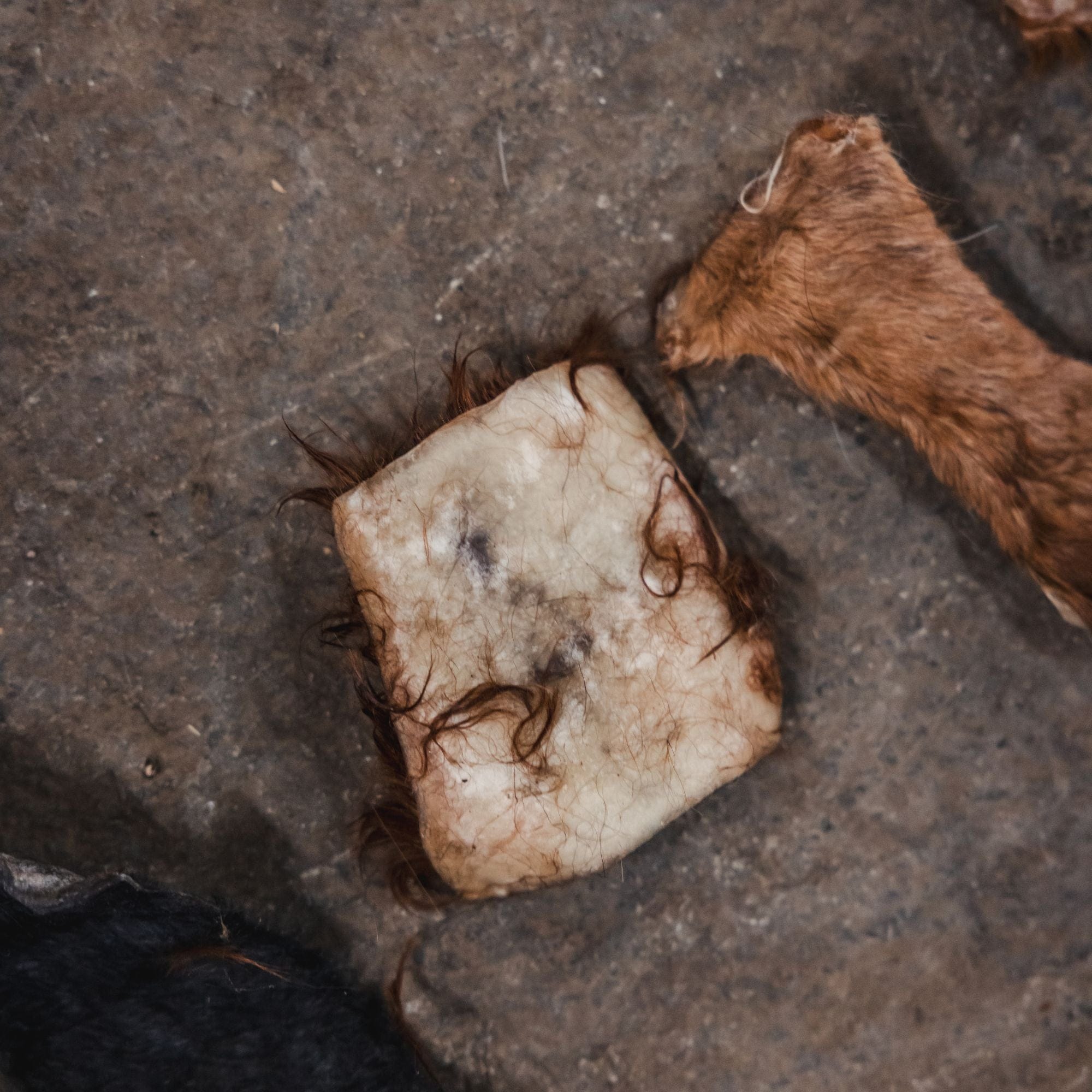 Ugly Chews Scraps,Chips, & Chunks