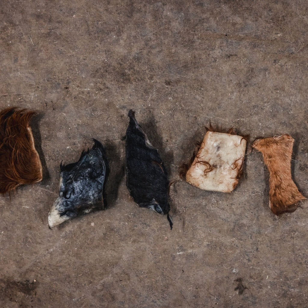 Ugly Chews Scraps,Chips, & Chunks